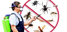 Pest Control